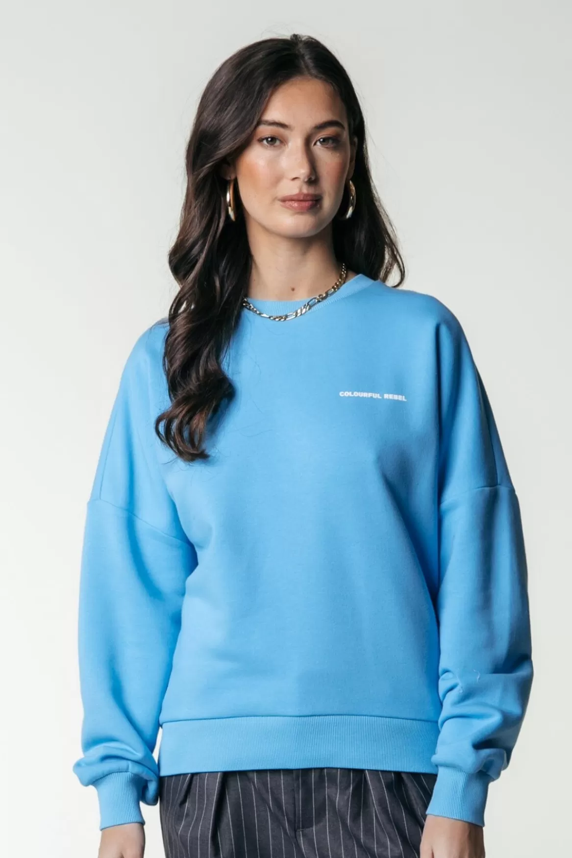 Colourful Rebel Logo Sweat | Mist Blue