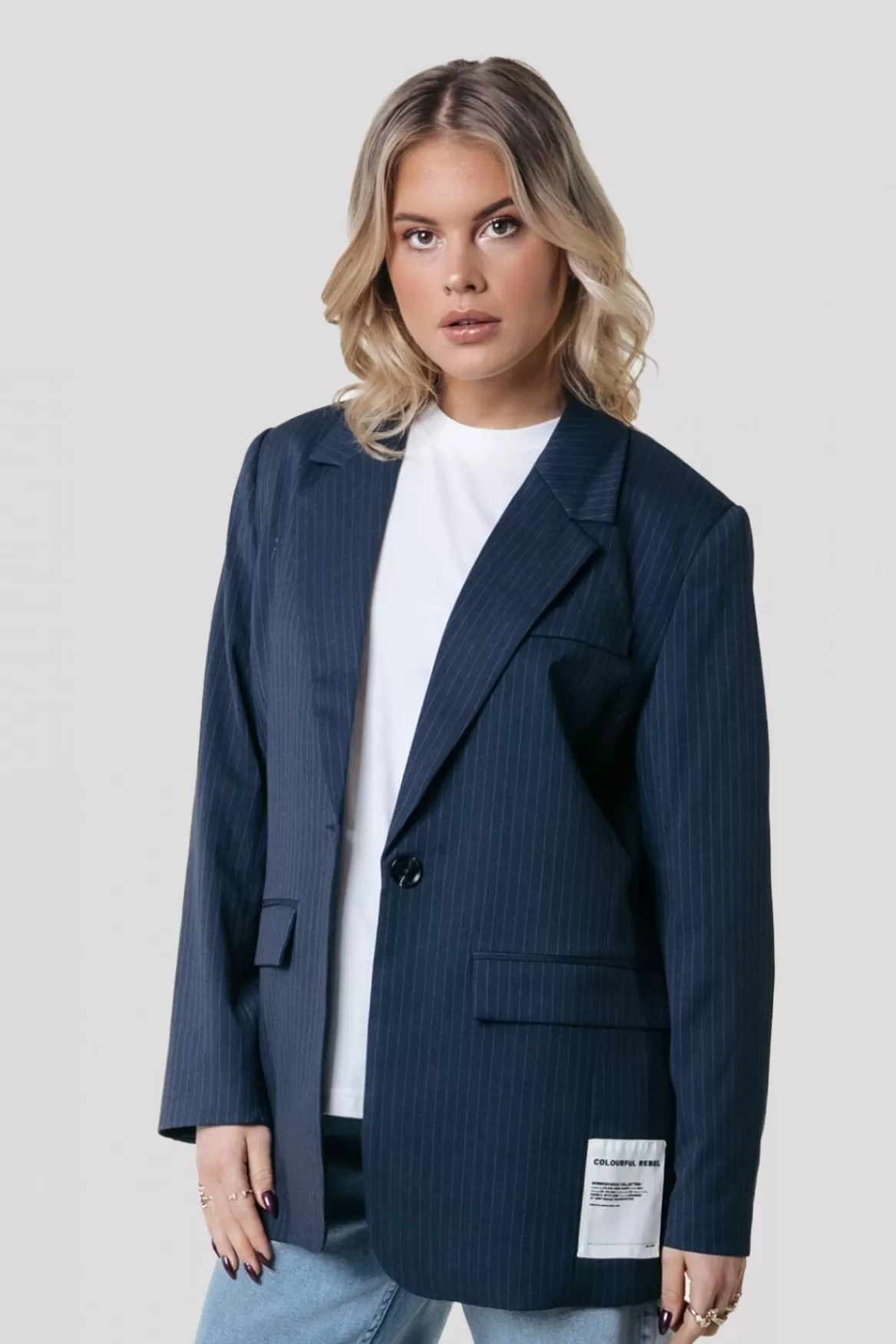 Colourful Rebel Jesra Stripe Blazer | Dark blue