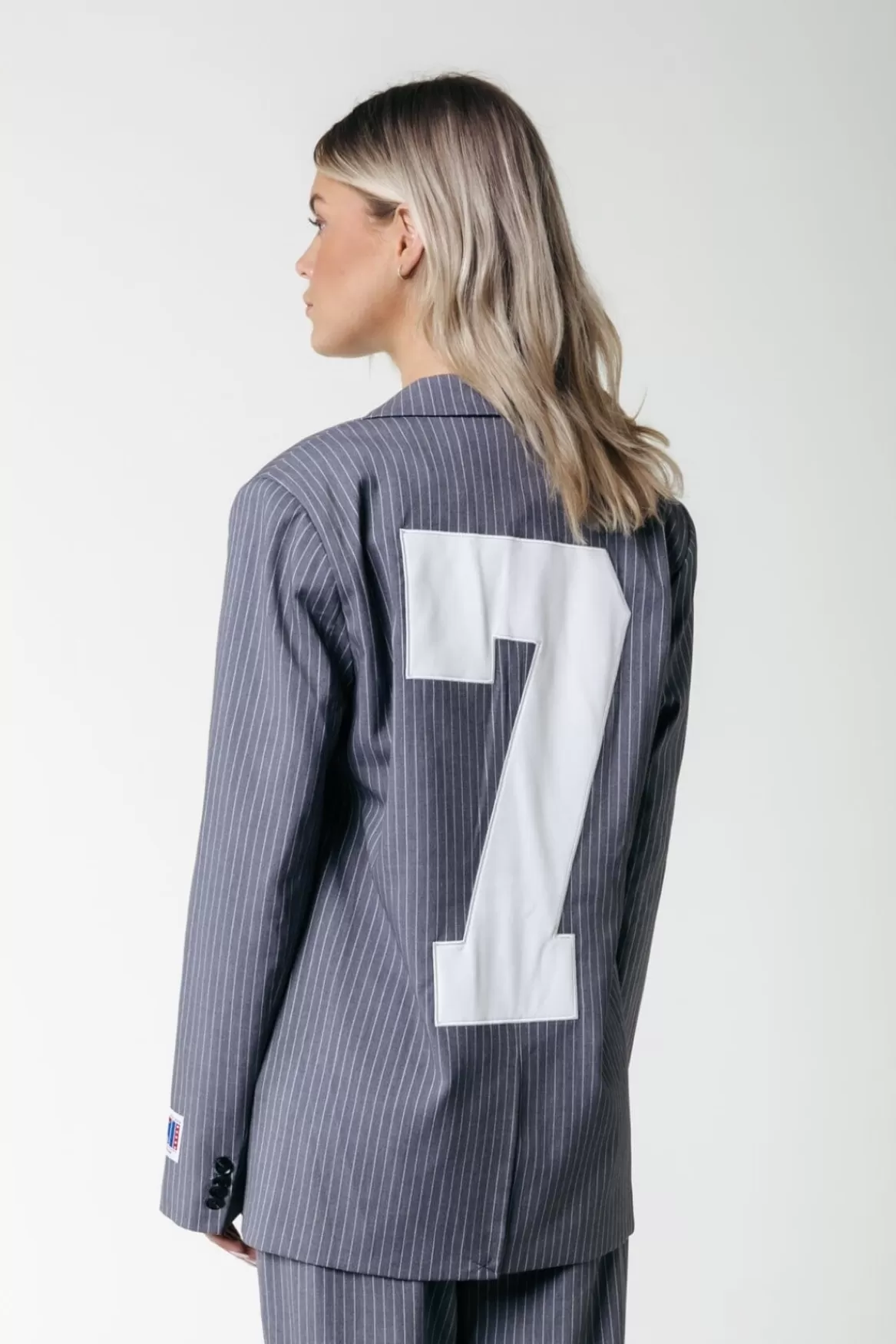 Colourful Rebel Jesra Stripe Blazer | Dark grey