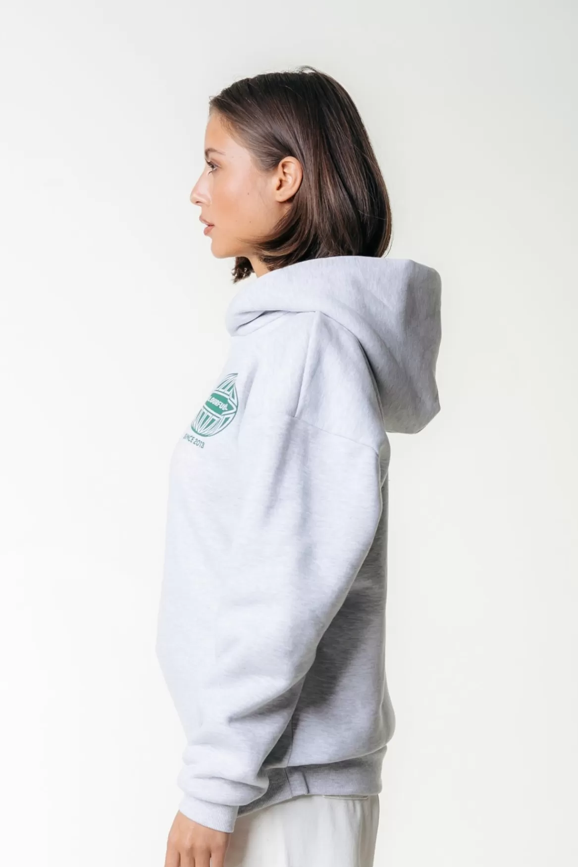 Colourful Rebel Racer Logo Hoodie | Light grey melange