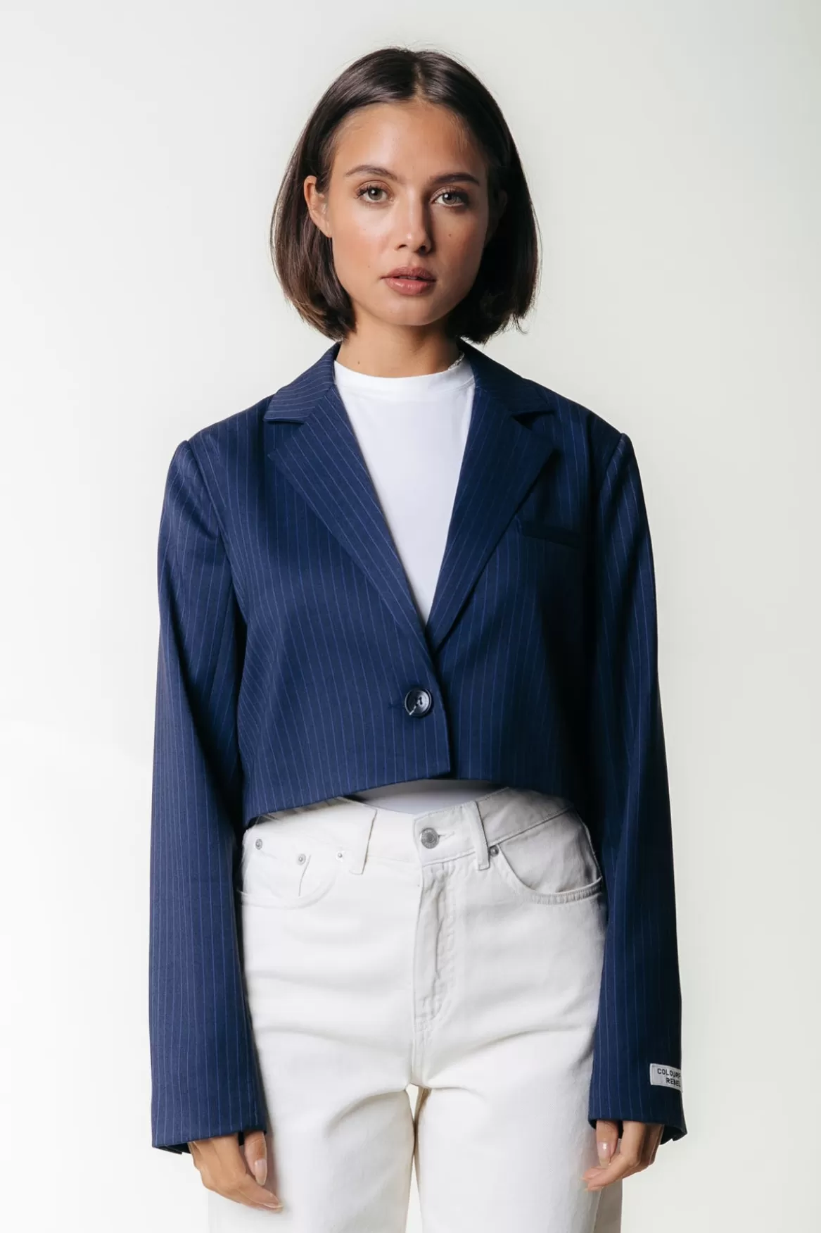Colourful Rebel Winoah Stripe Cropped Blazer | Dark blue