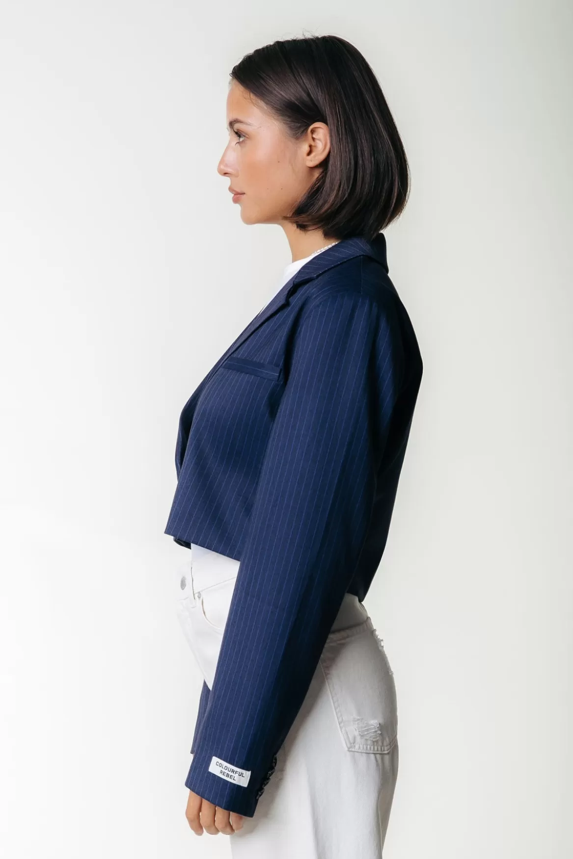 Colourful Rebel Winoah Stripe Cropped Blazer | Dark blue