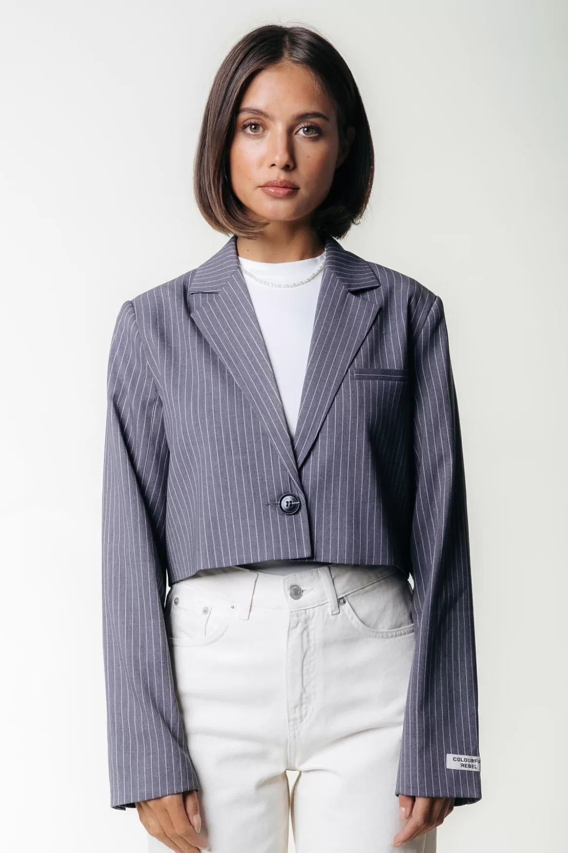 Colourful Rebel Winoah Stripe Cropped Blazer | Dark grey