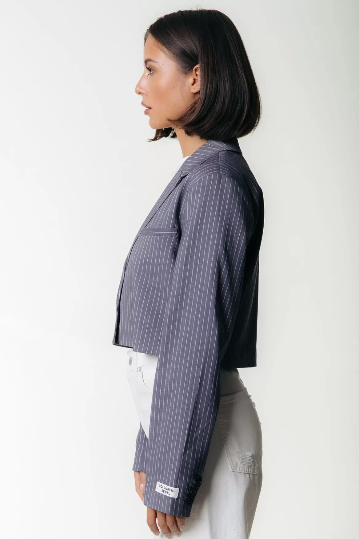 Colourful Rebel Winoah Stripe Cropped Blazer | Dark grey